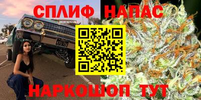 молекула духа Пыть-Ях