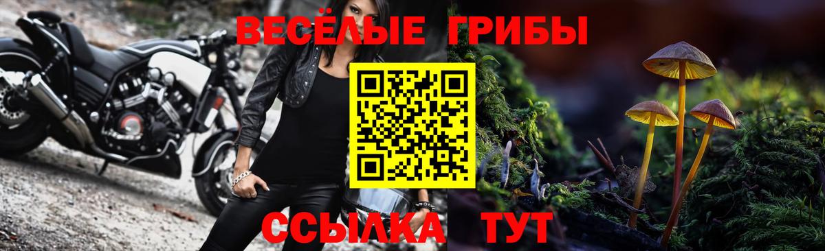 Севастополь  Псилоцибиновые грибы мухоморы  цены наркотик  Вход с VPN  Псилоцибиновые грибы мухоморы 